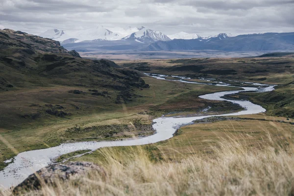 Altajbergen, platå Ukok. Den orörda naturen i regionen — Stockfoto