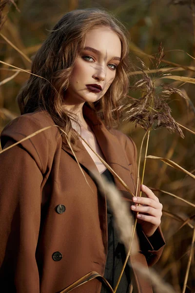 Portrait Beautiful Fashion Woman Thicket Autumn Grass — Stock Photo, Image