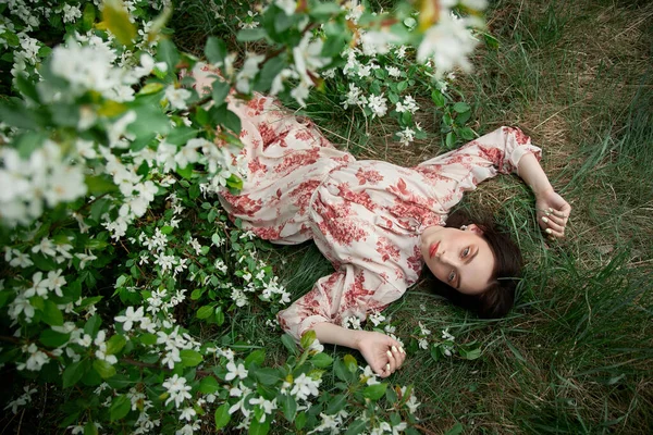 Belle Jeune Femme Trouve Dans Herbe Sous Pommier Fleurs Fille — Photo