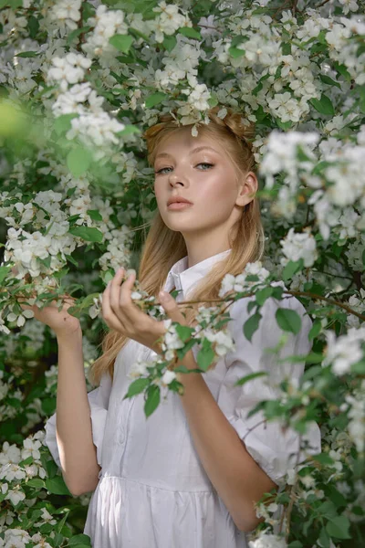 Retrato Romántico Una Niña Parque Cerca Manzano Floreciente Cosmética Natural —  Fotos de Stock