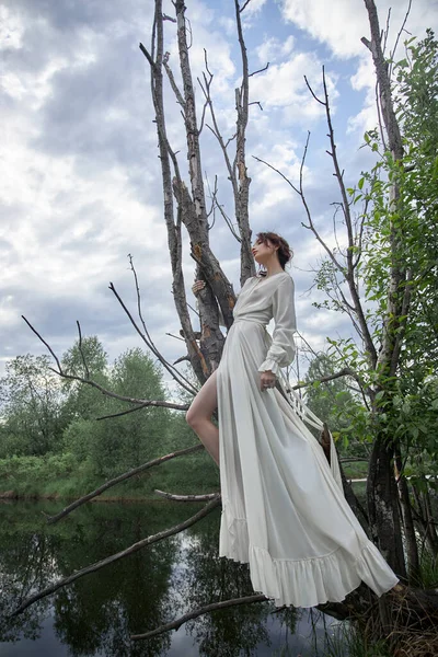 Fantastica Fata Bella Donna Abito Lungo Bianco Vecchio Albero Secco — Foto Stock