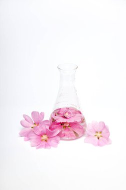 Doğal kozmetik çiçek yapraklarının şişe matarası. Bitki ve çiçeklerden doğal organik ürün, cilt bakımı için bitki tüpü kozmetik. Doğa güzelliği bilim tıp laboratuarı testi