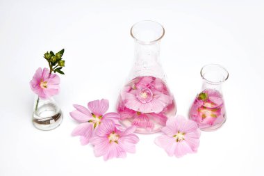 Doğal kozmetik çiçek yapraklarının şişe matarası. Bitki ve çiçeklerden doğal organik ürün, cilt bakımı için bitki tüpü kozmetik. Doğa güzelliği bilim tıp laboratuarı testi