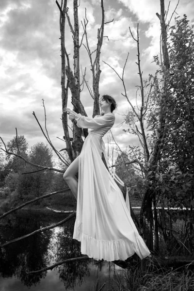 Fantastique Fée Belle Femme Robe Longue Blanche Sur Vieil Arbre — Photo