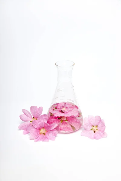 天然化妆品花瓣瓶瓶中的精华 天然有机产品来自植物和花卉 用于护肤的草药管化妆品 自然科学 美容医学实验室测试 — 图库照片