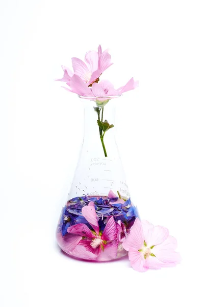 天然化妆品花瓣瓶瓶中的精华 天然有机产品来自植物和花卉 用于护肤的草药管化妆品 自然科学 美容医学实验室测试 — 图库照片