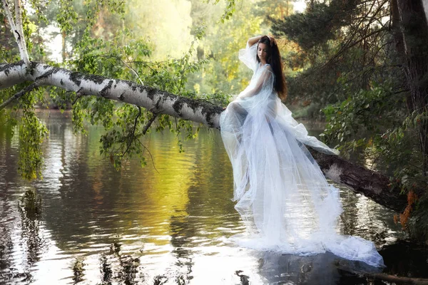 Art Beautiful Romantic Woman Blue Long Dress Sitting Fallen Tree Royalty Free Stock Images