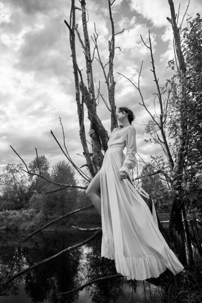 Фантастична Фея Красива Жінка Білій Довгій Сукні Старому Сухому Дереві — стокове фото