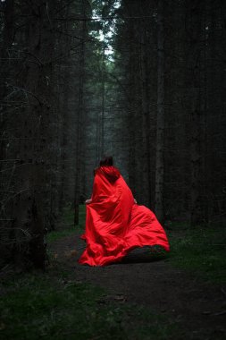 Parlak kırmızı pelerin giyen kişi karanlık bir ormanda dar bir patika boyunca yürür. Ağaçlar yükselir, ürkütücü ama büyüleyici bir atmosfer yaratır alacakaranlık çökerken.