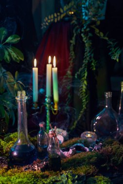 Etrafı yosunlarla çevrili ve yanıp sönen mumlarla aydınlatılmış cam şişelerdeki canlı iksirlerden oluşan bir derleme. Sahne, gizemli bir ormanda büyüleyici bir atmosfer yaratır..