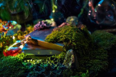 Mistik bir orman ortamında, taşlarla ve parlayan elementlerle çevrili yemyeşil yosunlar üzerine bir kitap uzanır. Yumuşak ışık sahneye büyüleyici bir atmosfer ekler. Bu da büyülü bir dünya olduğunu gösterir..