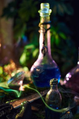 Parlak renkli iksir şişeleri yemyeşil ile çevrili bir yüzey üzerinde toplanır. Alacakaranlık büyüleyici gölgeler oluştururken sahne büyülü bir aura ile doludur..