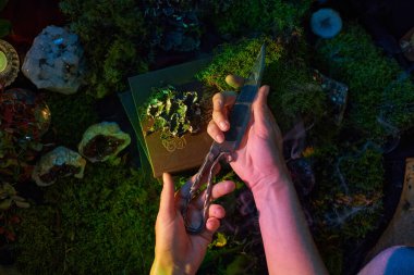 Elleri, parlak yeşillik ve dekoratif taşlarla çevrili, karanlık bir kutunun üzerinde zarif bir makasla hazırlanmış. Yumuşak ışık sahneyi vurgular, mistik bir atmosfer yaratır..