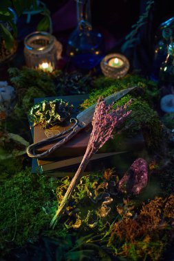 Detaylı sahne, yosun, mum ve iksir şişeleriyle çevrili bir sunağı gösteriyor. Makas ve kurutulmuş otlar antik kitapların üzerinde uzanır, alacakaranlıkta büyülü bir atmosfer yaratır..