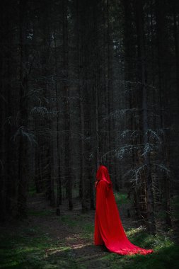 Çarpıcı kırmızı bir pelerin giymiş bir figür gölgeli ormandaki uzun, karanlık ağaçların arasında duruyor. Sahne, alacakaranlıktaki gizem ve büyüyü yakalar..