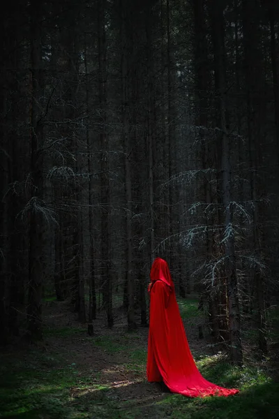 Çarpıcı kırmızı bir pelerin giymiş bir figür gölgeli ormandaki uzun, karanlık ağaçların arasında duruyor. Sahne, alacakaranlıktaki gizem ve büyüyü yakalar..