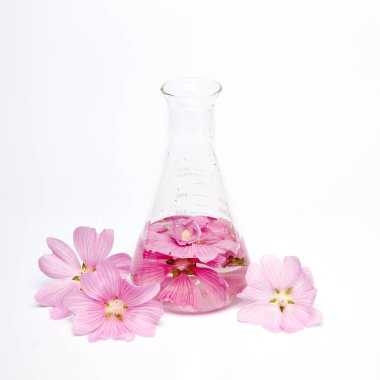 Laboratuar matarası su ve pembe çiçekleri barındırır ve canlı bir görüntü oluşturur..