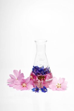 Laboratuar şişesi suyla dolu. Etrafını saran canlı pembe ve mavi çiçekler sergiliyor..