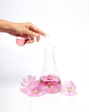 Küçük bir şişeden dikkatlice pembe sıvıyı su ve pembe çiçeklerle dolu büyük bir Erlenmeyer şişesine döker. doğa ve bilimin bir karışımını yakalar..