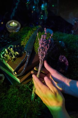 Eller, mistik bir ortamda kurumuş lavantayı nazikçe tutar. Yumuşak mum ışığı yosunları, açık bir kitabı ve çeşitli iksirleri aydınlatır. Sihirli bir akşam atmosferi yaratır..