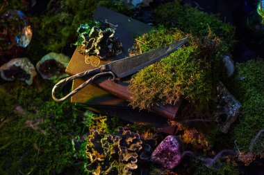 Bir makas, kitapların üzerinde, olay yerini çevreleyen yosun, kristal ve çeşitli bitki parçalarıyla yatar. Ayar düşük ışığa sahiptir, gizemli bir atmosfer yaratır..