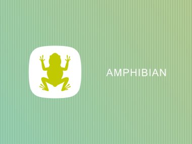 Vector frog logo on white background, Vector frog for your design. clipart