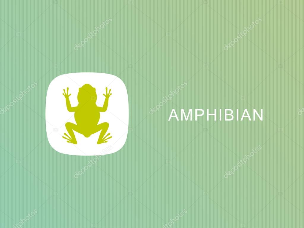Vector image of an frog design on white background, Vector frog for your design.