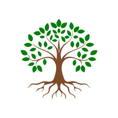 Ayrıntılı kökleri ve gür yaprakları olan yeşil bir yaşam ağacının zarif çevre dostu logosu. Doğa, sürdürülebilirlik, sağlık ve organik marka kimlik tasarımı için mükemmel..