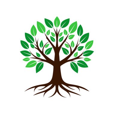 Ayrıntılı kökleri ve gür yaprakları olan yeşil bir yaşam ağacının zarif çevre dostu logosu. Doğa, sürdürülebilirlik, sağlık ve organik marka kimlik tasarımı için mükemmel..