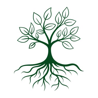 Ayrıntılı kökleri ve gür yaprakları olan yeşil bir yaşam ağacının zarif çevre dostu logosu. Doğa, sürdürülebilirlik, sağlık ve organik marka kimlik tasarımı için mükemmel..