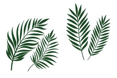 Zarif çift yeşil yaprak botanik illüstrasyonu, minimalist tasarımlar, çevre dostu projeler, tebrik kartları, duvar resimleri ve dijital baskılar için mükemmel. Yaratıcı kullanım için yüksek kaliteli vektör.