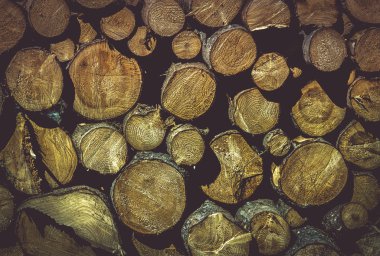 Ağaç gövdeleri yığını ile ahşap doku