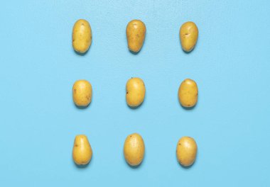 Yukarıda mavi arka planda izole edilmiş birkaç sarı patates var. Patatesler simetrik olarak mavi bir masaya dizildi..