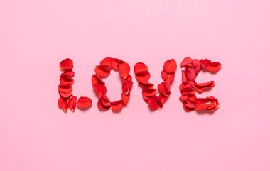 Kırmızı gül yapraklarıyla yazılmış, pembe arka planda izole edilmiş bir aşk. Gül yaprağı aşk sözcüğünün üst görüntüsü. Sevgililer Günü konsepti. Çiçek yaprakları harfleri.