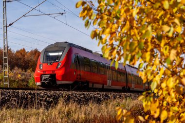 Nuremberg 'de sonbahar manzarasında seyahat eden banliyö treni.