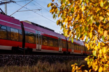 Nuremberg banliyö treni güz doğasında seyahat ediyor.