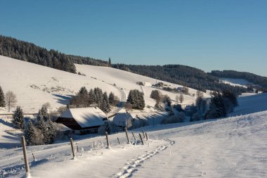 Almanya 'daki Kara Orman dağlarında karla kaplı bir vadi.