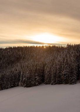 Güneş doğarken Kara Orman dağlarında karlı kış manzarası