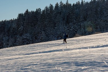 Kara Orman 'daki Alman dağlarında derin karların arasında yürüyorum.