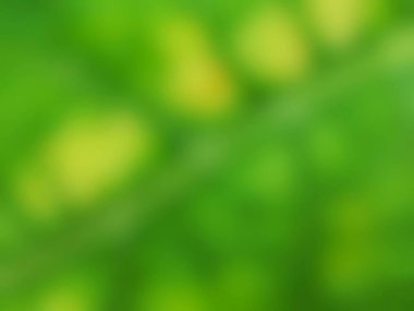 Bulanık soyut yeşil doğa arka planı. Yaz veya bahar tasarımı için yumuşak organik doku