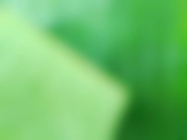 Bulanık soyut yeşil doğa arka planı. Yaz veya bahar tasarımı için yumuşak organik doku