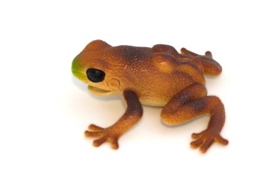 Kurbağa oyuncak beyaz arka plan üzerinde