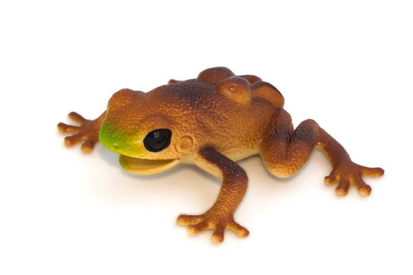 青蛙玩具在白色背景 — 图库照片