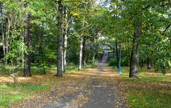 Buntes Laub im Herbstpark — Stockfoto