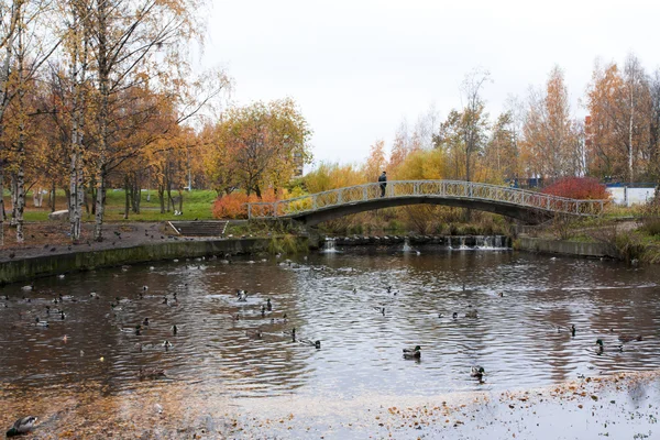 Starý most v podzim, Petrozavodsk, Karélie — Stock fotografie
