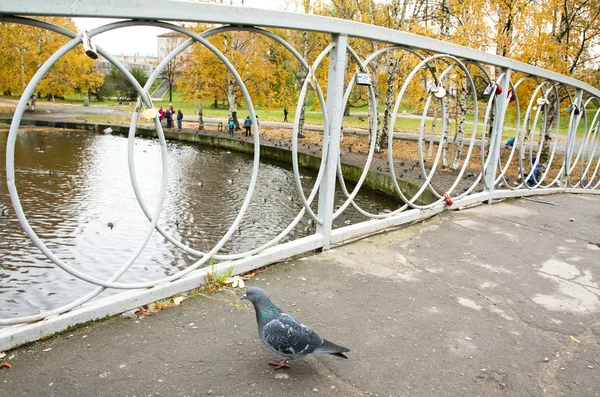 Old bridge in autumn, Petrozavodsk, Karelia — Stock Photo, Image