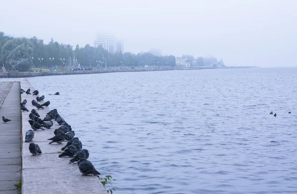 Embankment del lago Onega nella città di Petrozavodsk — Foto Stock