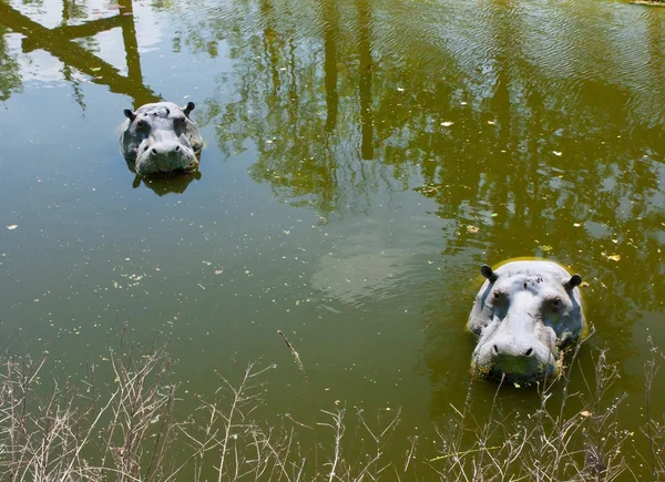 Mechelen, belgien - 17. mai 2016: flusspferdfiguren im wasser im zoo planckendael. — Stockfoto