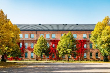 Partenosissus 'un kırmızı yapraklarıyla kaplı kırmızı tuğla binanın sonbahar manzarası.