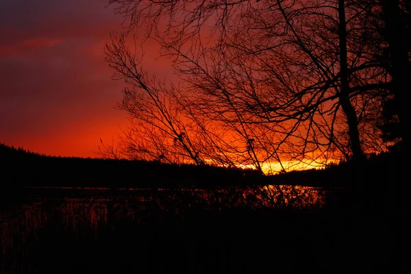 Hermosa Puesta Sol Noviembre Lago Finlandia — Foto de Stock